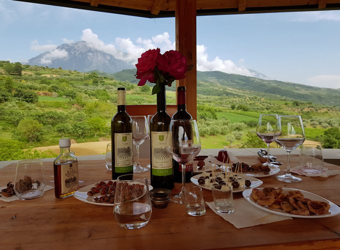 Wine tasting in Berat