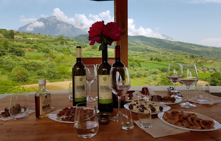 Wine tasting in Berat